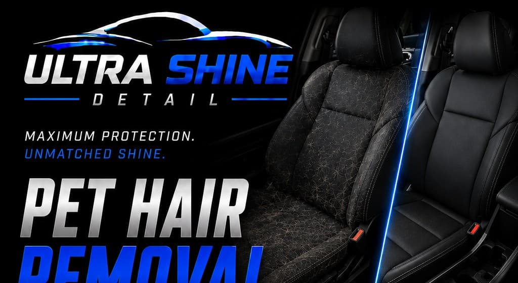 Pet Hair Removal